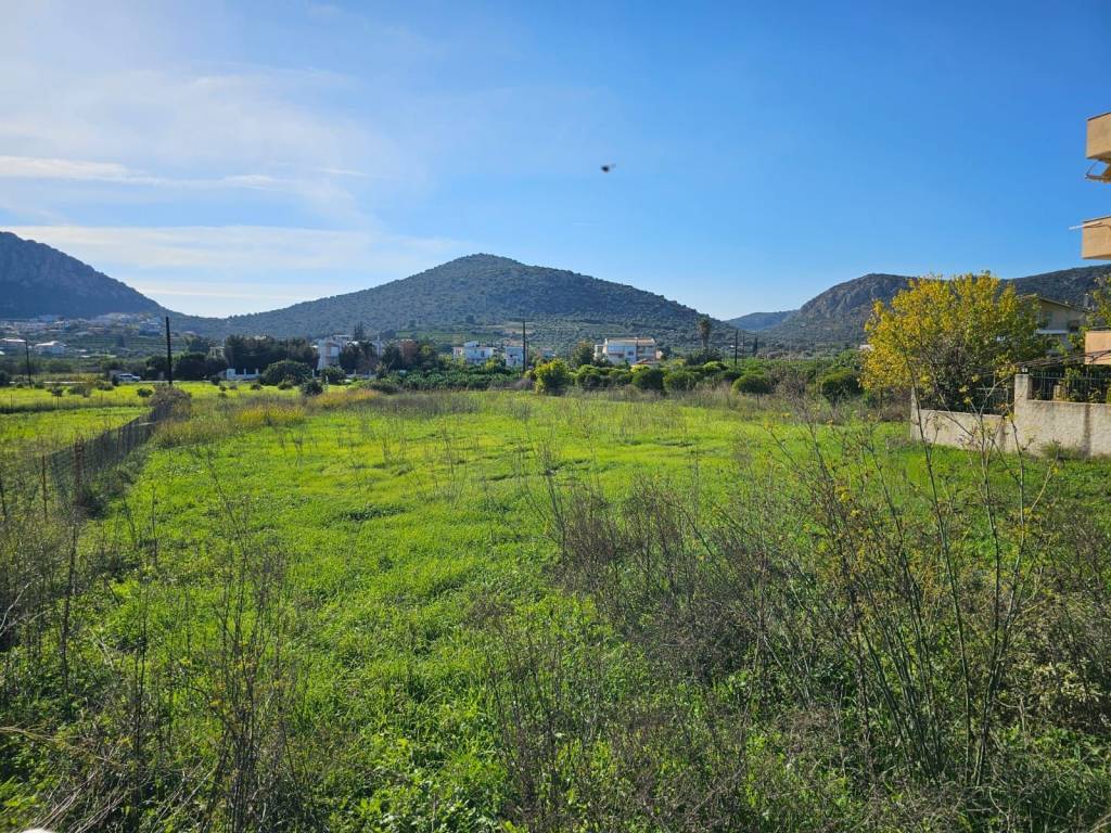 prime and buildable plot within the settlement of Lefkakia