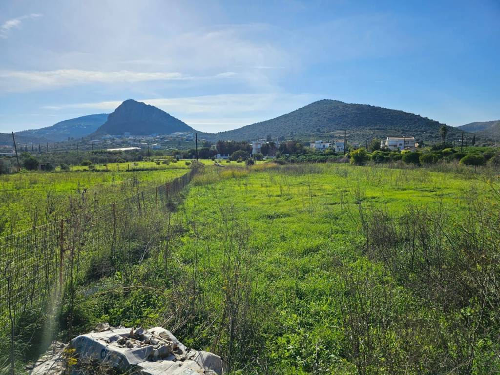 prime and buildable plot within the settlement of Lefkakia