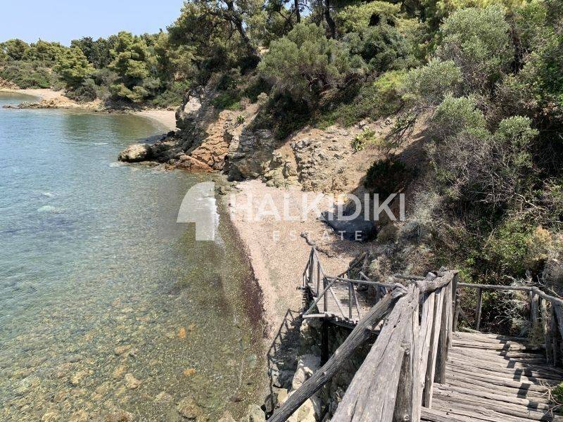 Ύπαρξη ανθρώπου