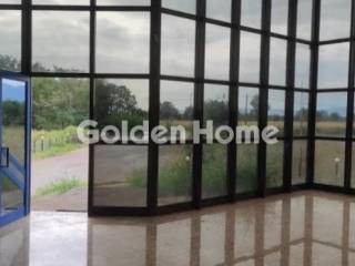 Κυρίως Χώρος