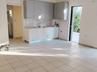 Σαλοκουζίνα