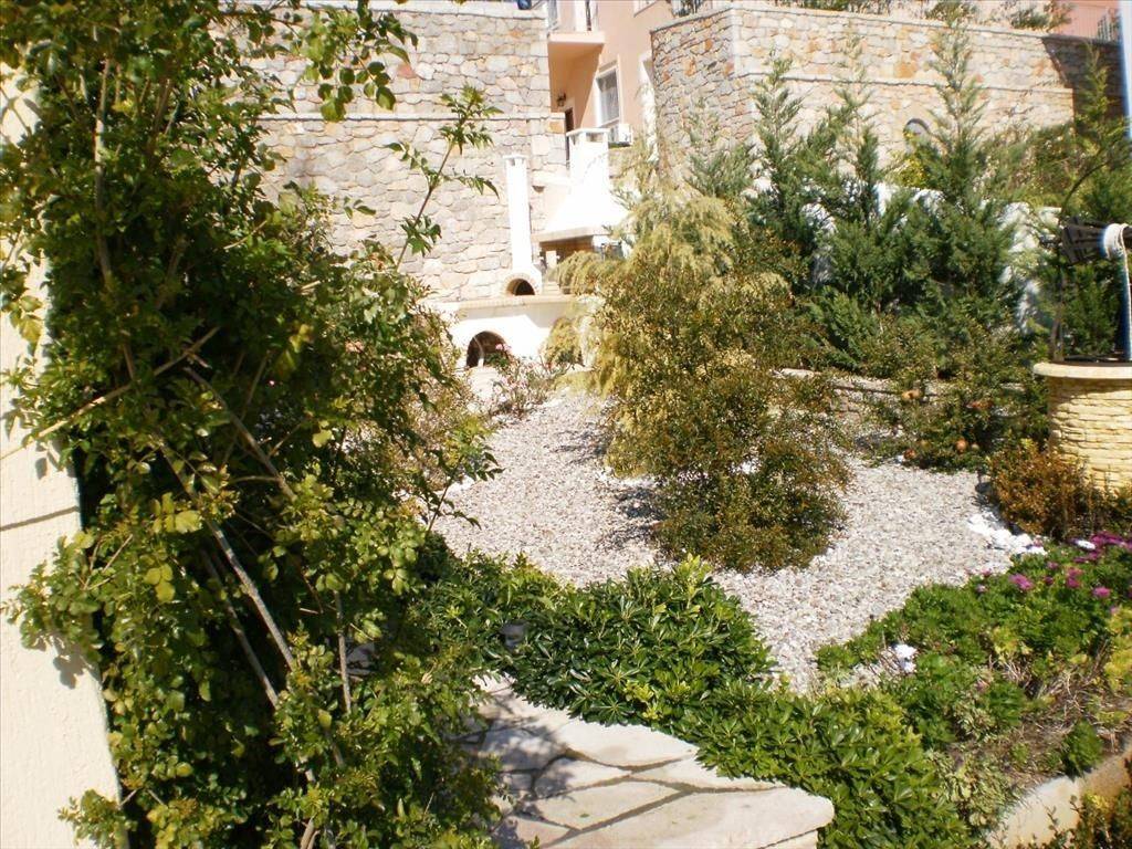 Maisonette - Grekodom 32811|499532