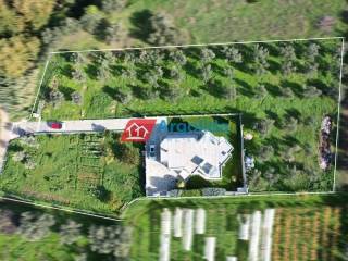 Ύπαρξη ανθρώπου