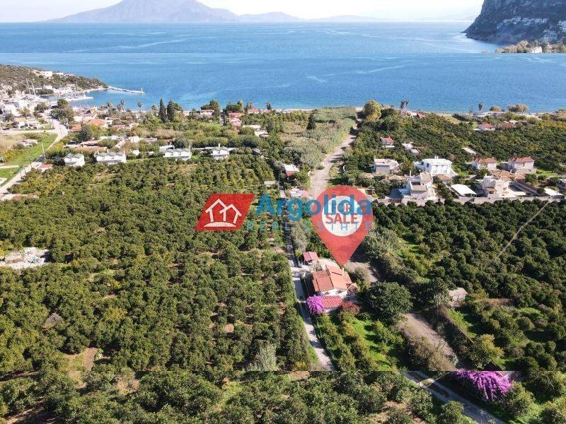 Ύπαρξη ανθρώπου