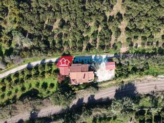 Ύπαρξη ανθρώπου