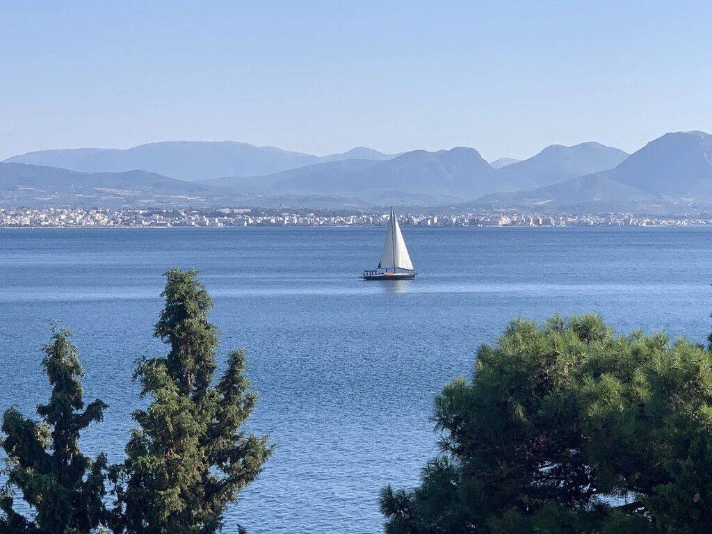 Apartment - Grekodom 59266|858470