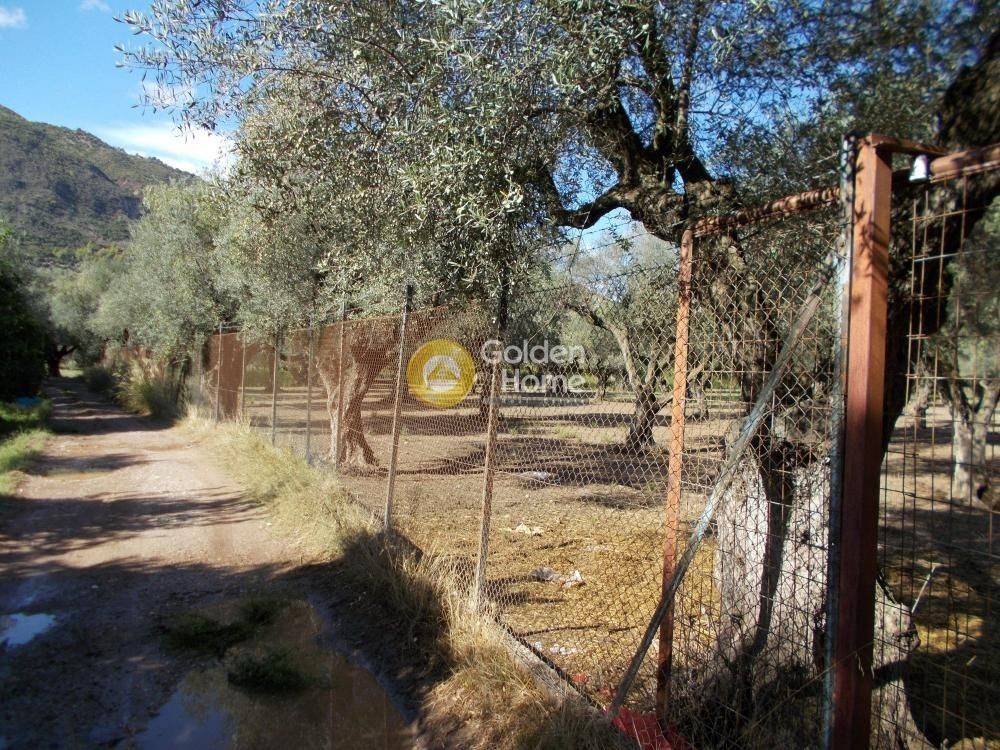 Εξωτερικός Χώρος