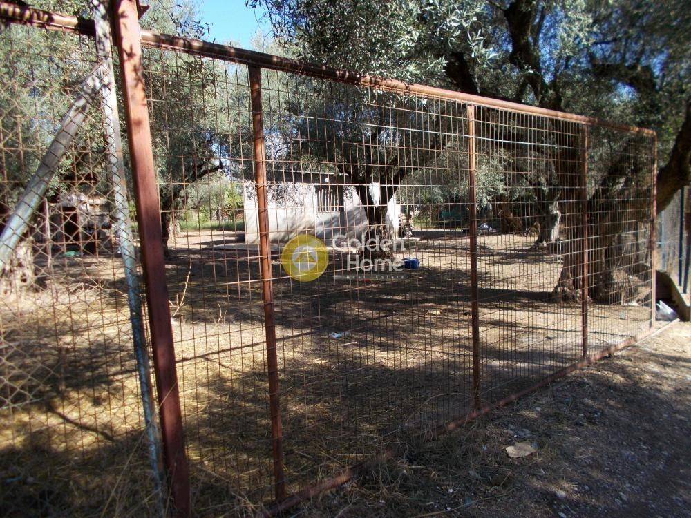 Εξωτερικός Χώρος