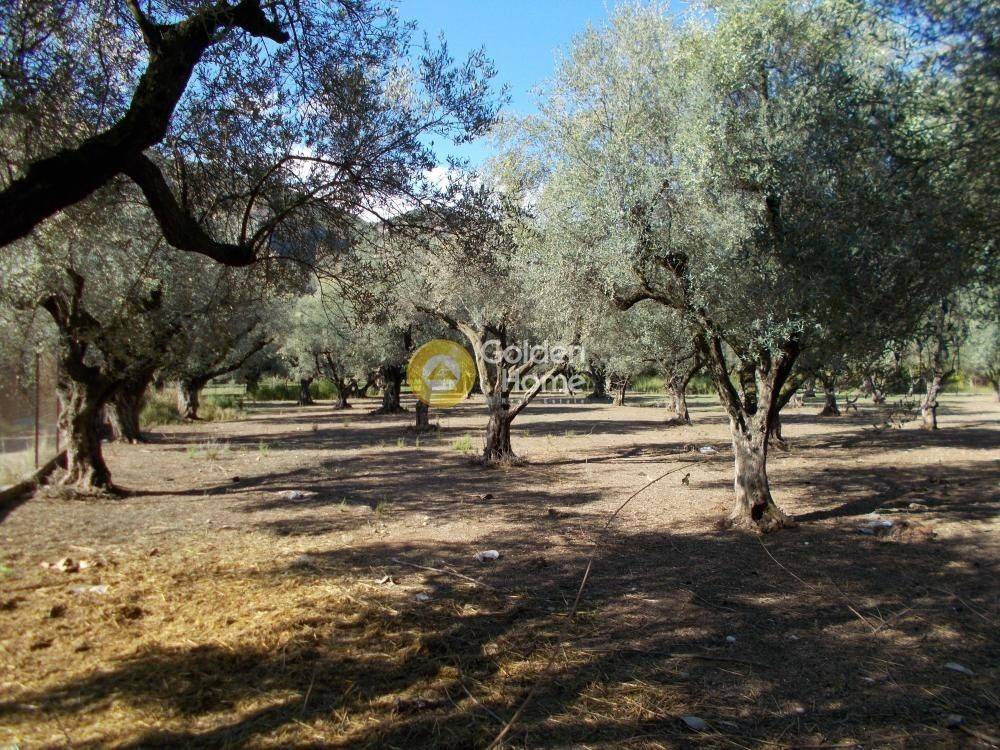 Εξωτερικός Χώρος