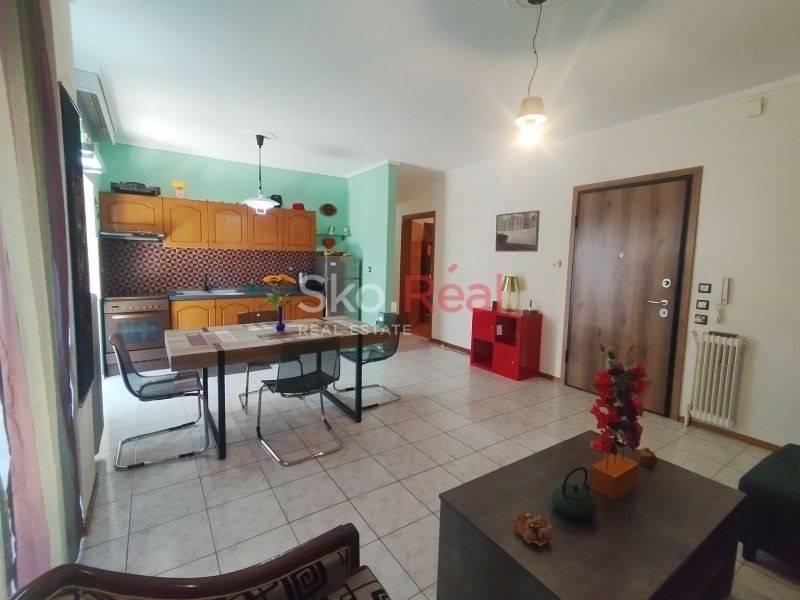 Σαλοκουζίνα