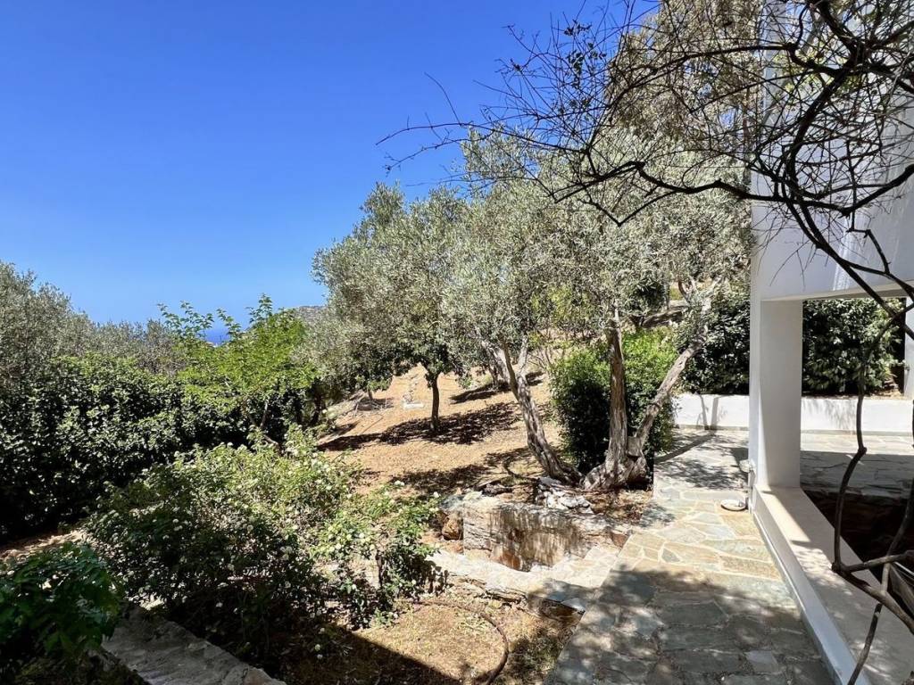 Εξωτερικοι χώροι