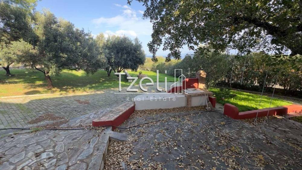 Άποψη χώρου