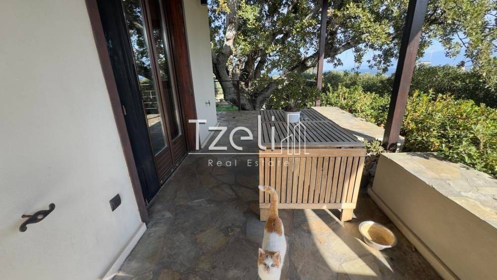 Άποψη χώρου