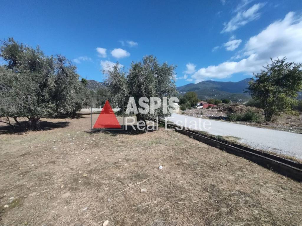 Εξωτερικοι χώροι