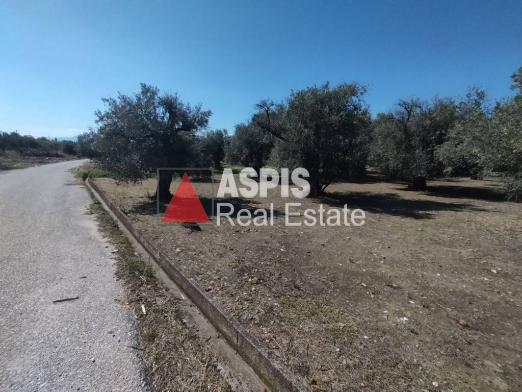 Εξωτερικοι χώροι