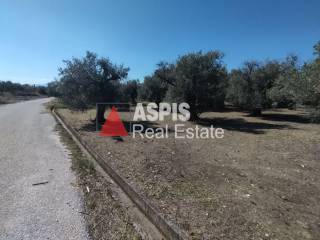 Εξωτερικοι χώροι