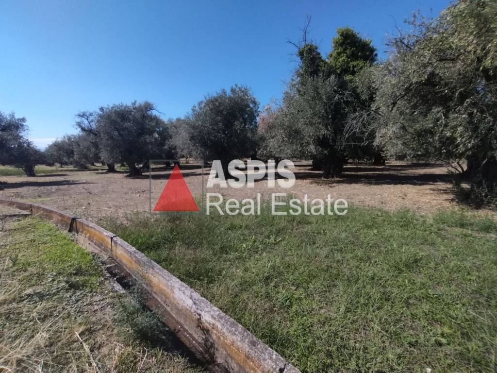 Εξωτερικοι χώροι