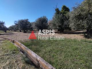 Εξωτερικοι χώροι