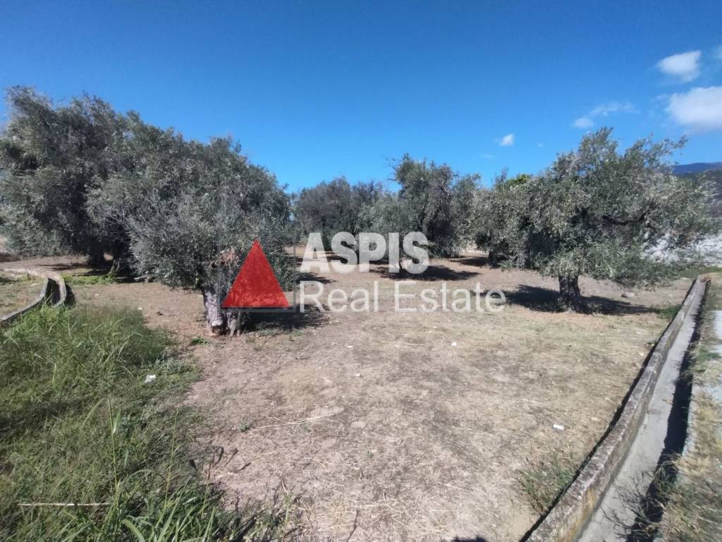 Εξωτερικοι χώροι