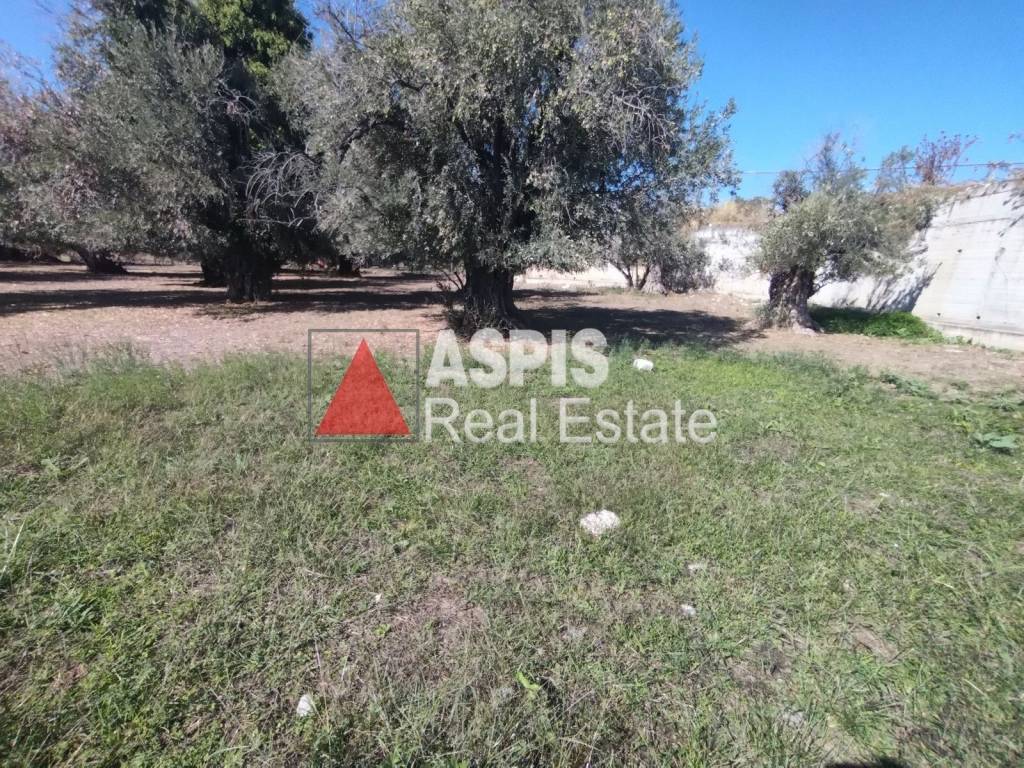 Εξωτερικοι χώροι