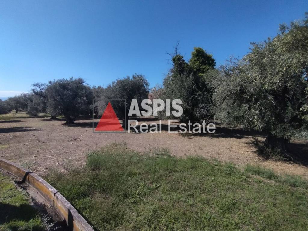 Εξωτερικοι χώροι