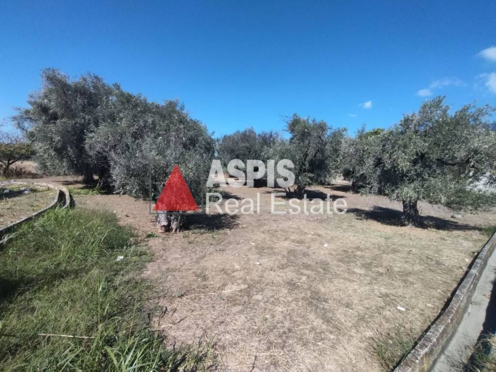 Εξωτερικοι χώροι