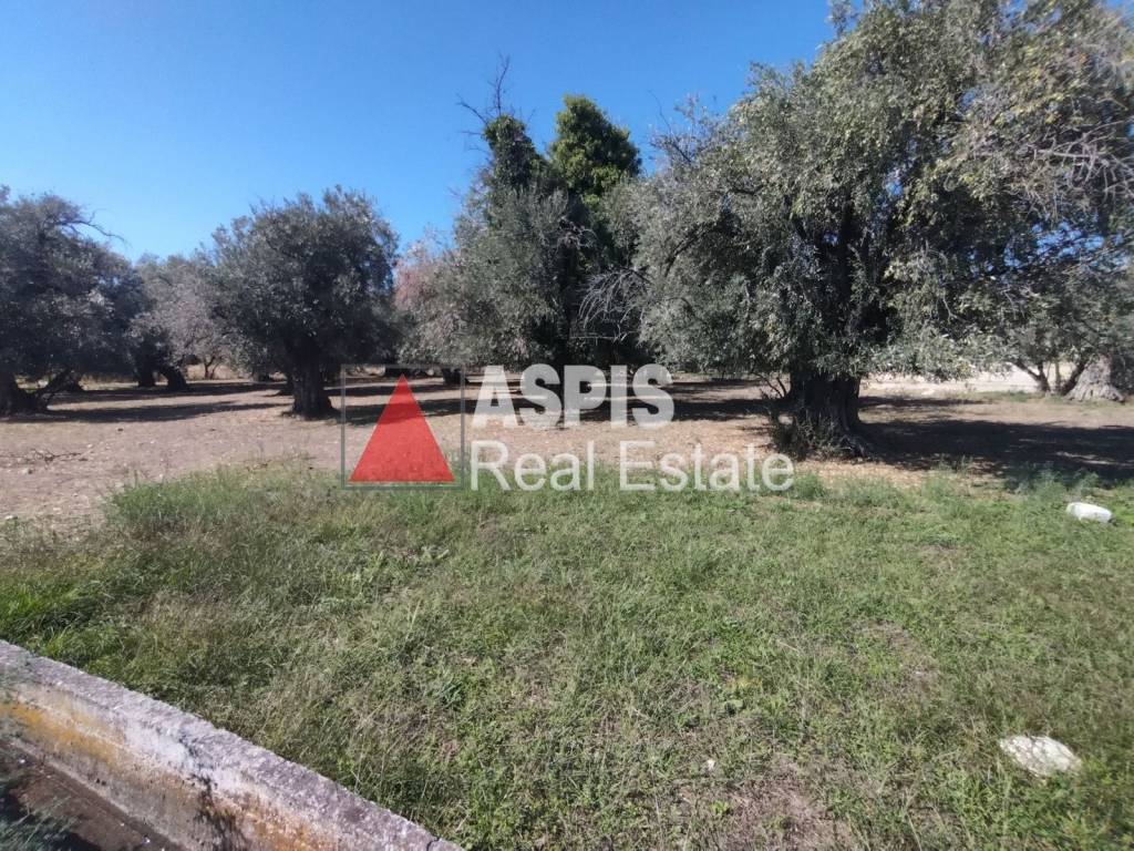 Εξωτερικοι χώροι