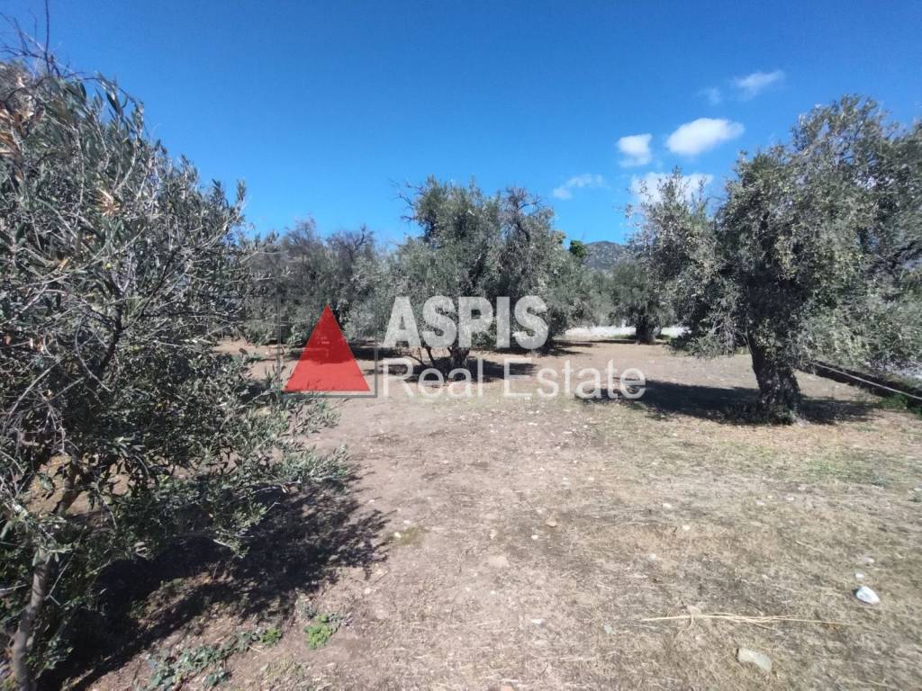 Εξωτερικοι χώροι