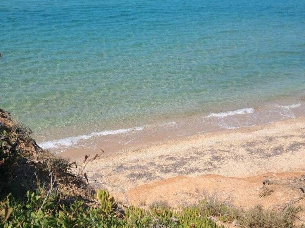 Detached - Grekodom 64448|1017753