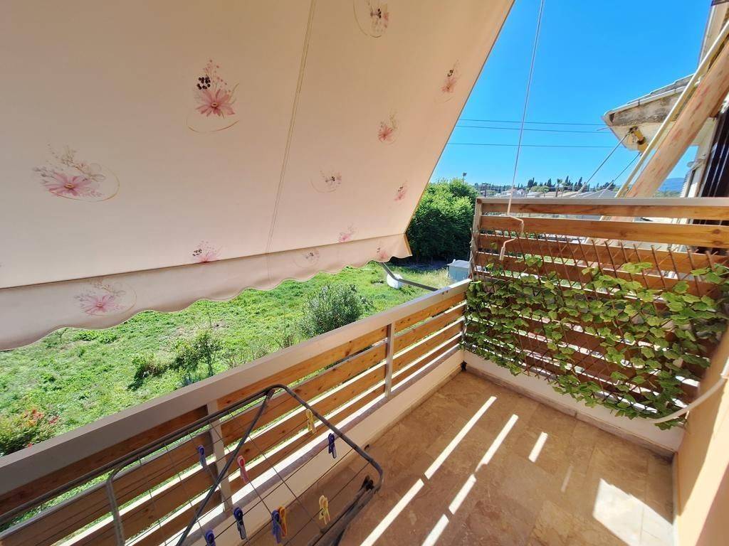 Apartment - Grekodom 63039|977871