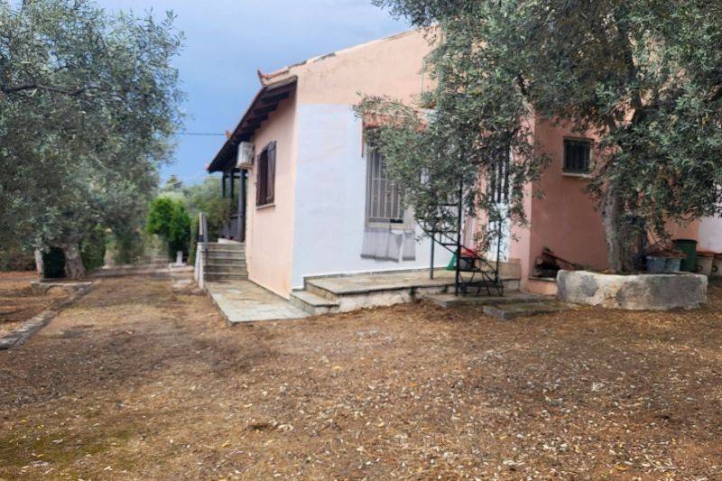 Εξωτερικός χώρος