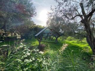 Άποψη οικοπέδου