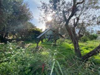 Άποψη οικοπέδου