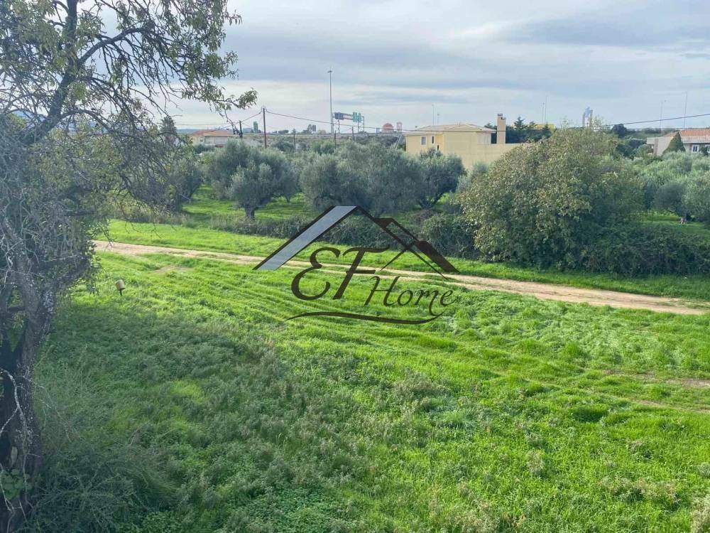 Άποψη οικοπέδου