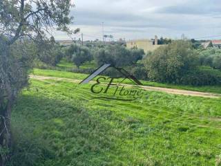 Άποψη οικοπέδου