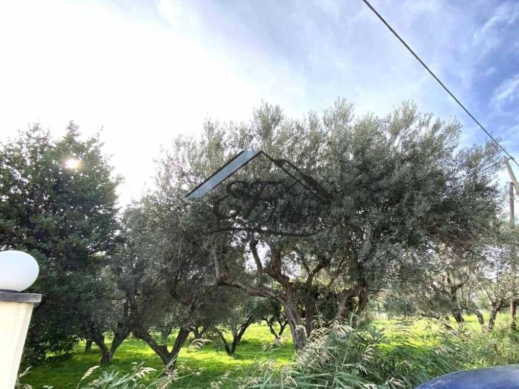 Άποψη οικοπέδου