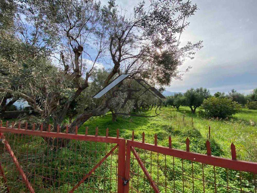 Άποψη οικοπέδου