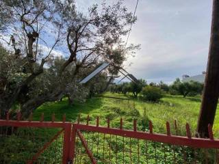 Άποψη οικοπέδου