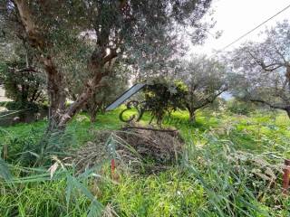 Άποψη οικοπέδου