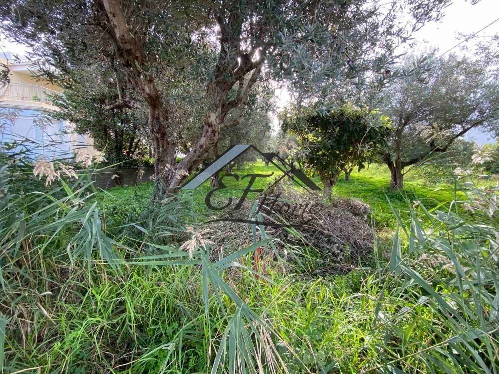 Άποψη οικοπέδου