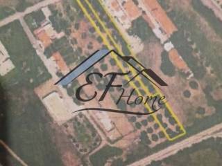 Λεπτομέρειες Οικοπέδου