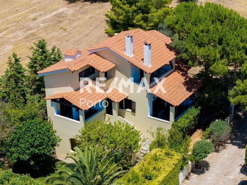 Ύπαρξη ανθρώπου