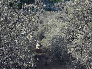 Εξωτερικοι χώροι