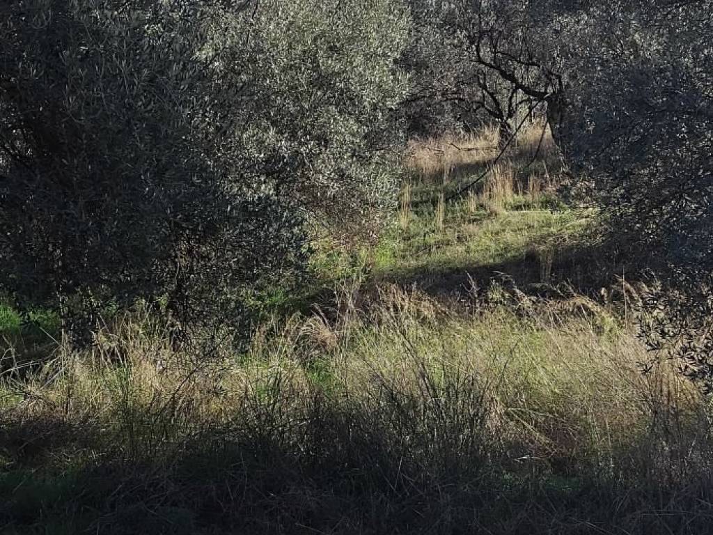 Εξωτερικοι χώροι