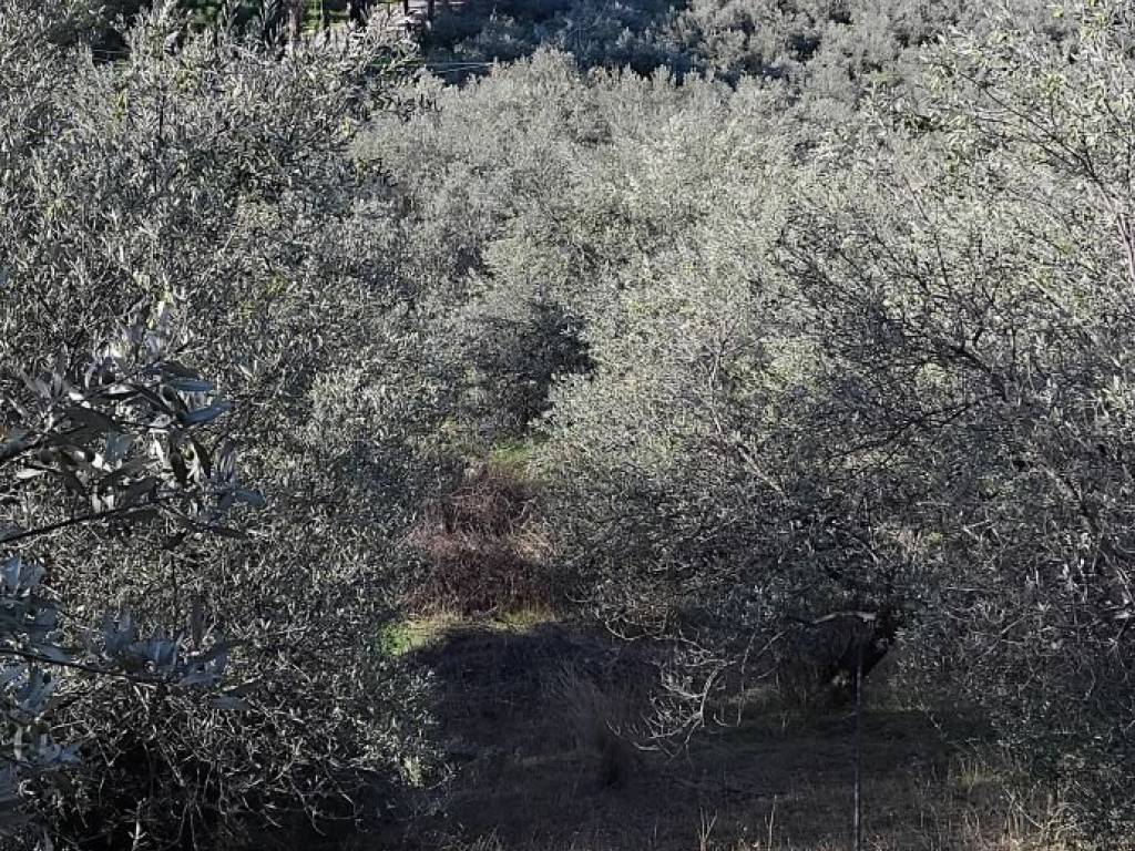 Εξωτερικοι χώροι