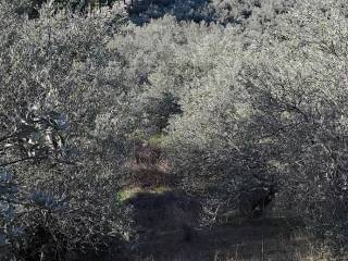 Εξωτερικοι χώροι