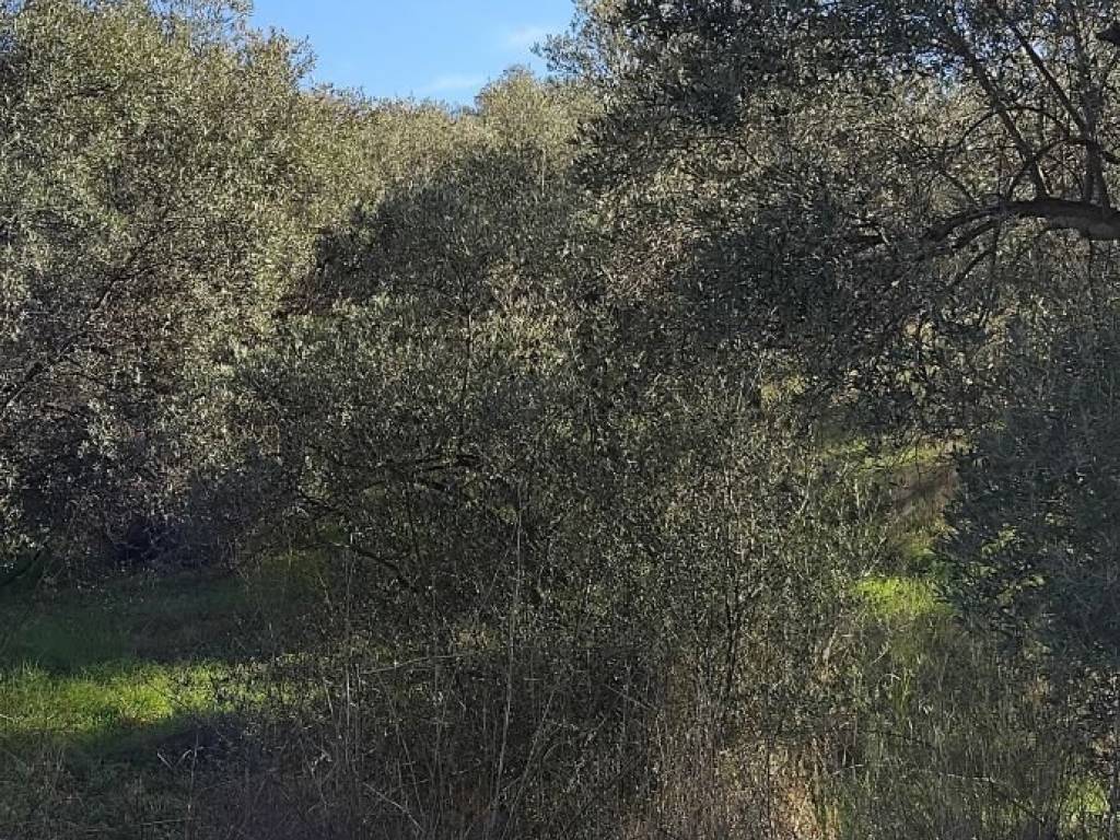 Εξωτερικοι χώροι