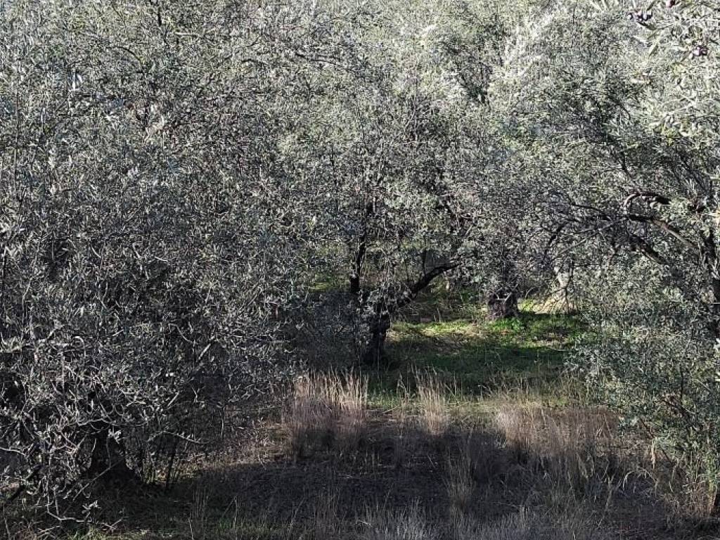 Εξωτερικοι χώροι