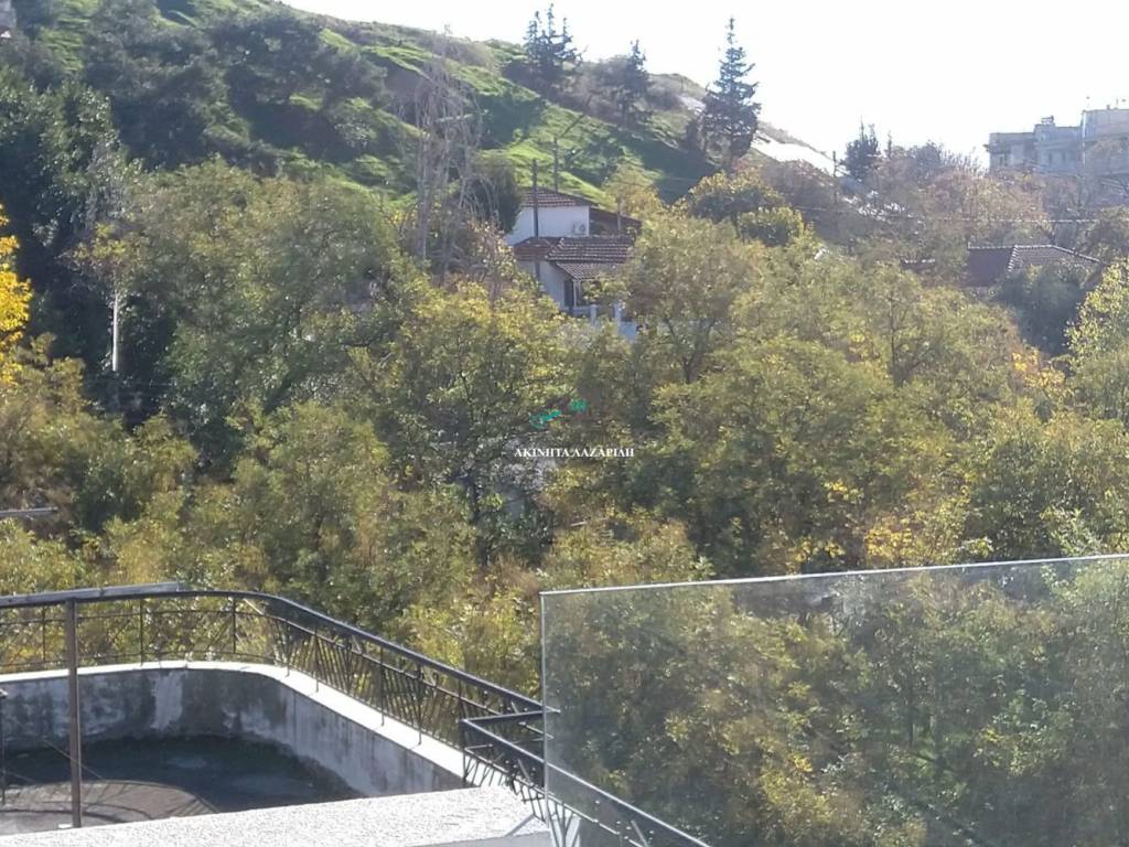 Ανοιχτωσιά