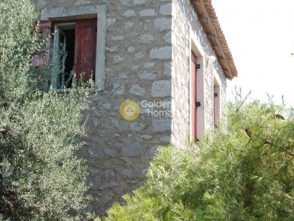 Ανελκυστήρας